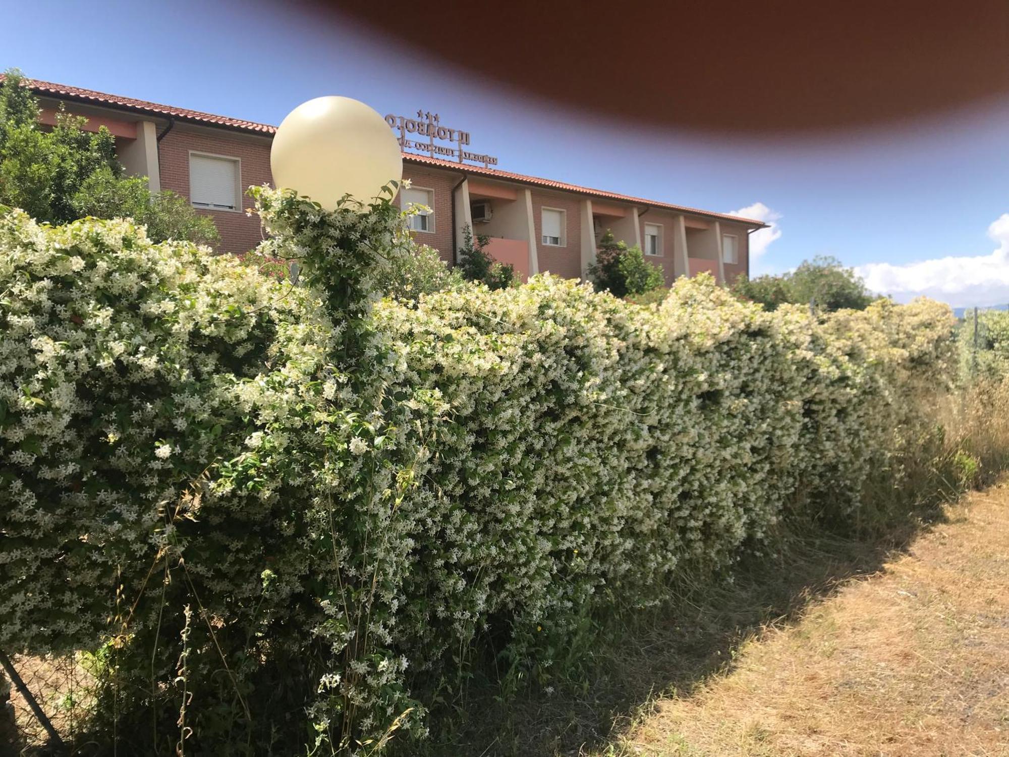 Residence Il Tombolo Principina a Mare Luaran gambar